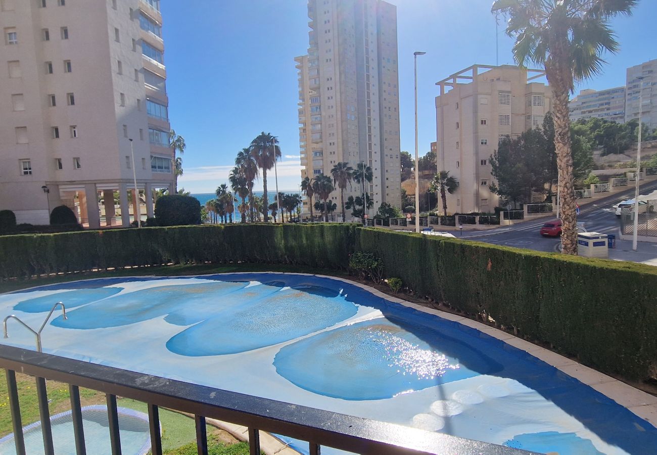 Apartamento en Benidorm - PINTOR ROSALES 16B