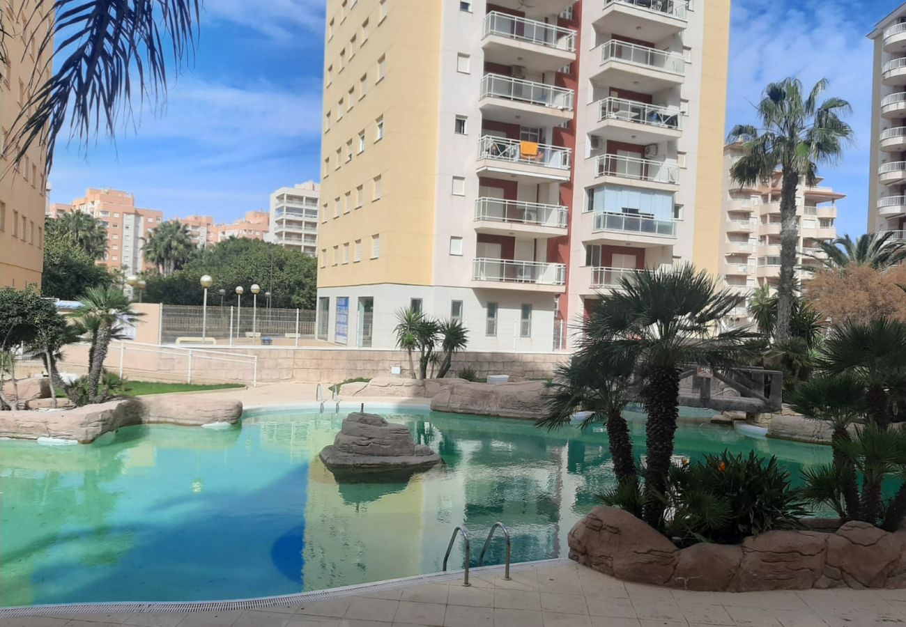 Apartamento en La Manga del Mar Menor - Tintoreto 3ºB Admer