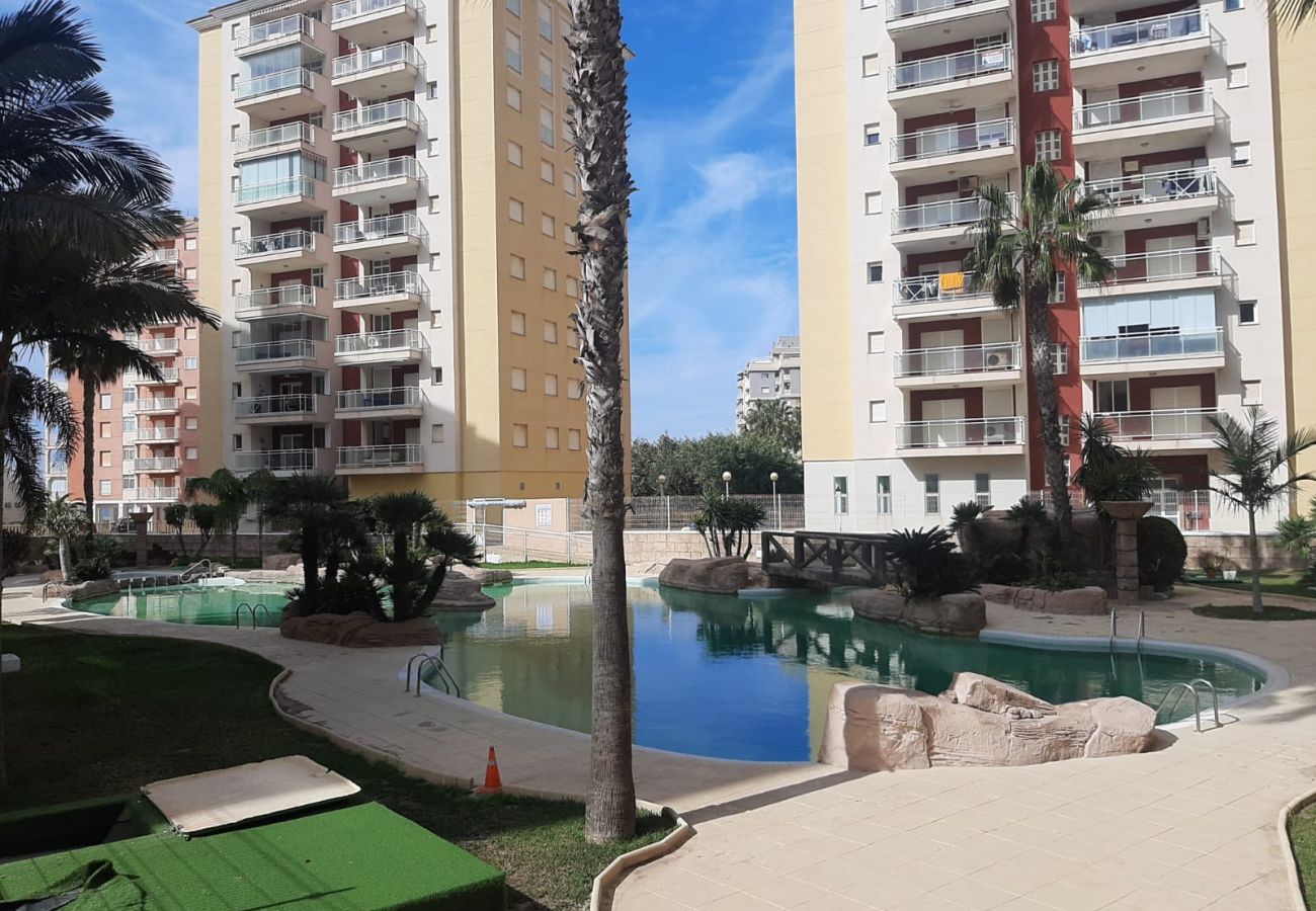 Apartamento en La Manga del Mar Menor - Tintoreto 3ºB Admer