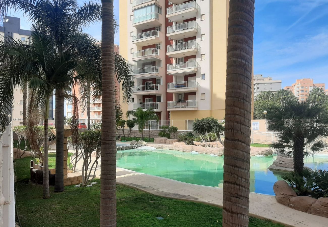 Apartamento en La Manga del Mar Menor - Tintoreto 3ºB Admer