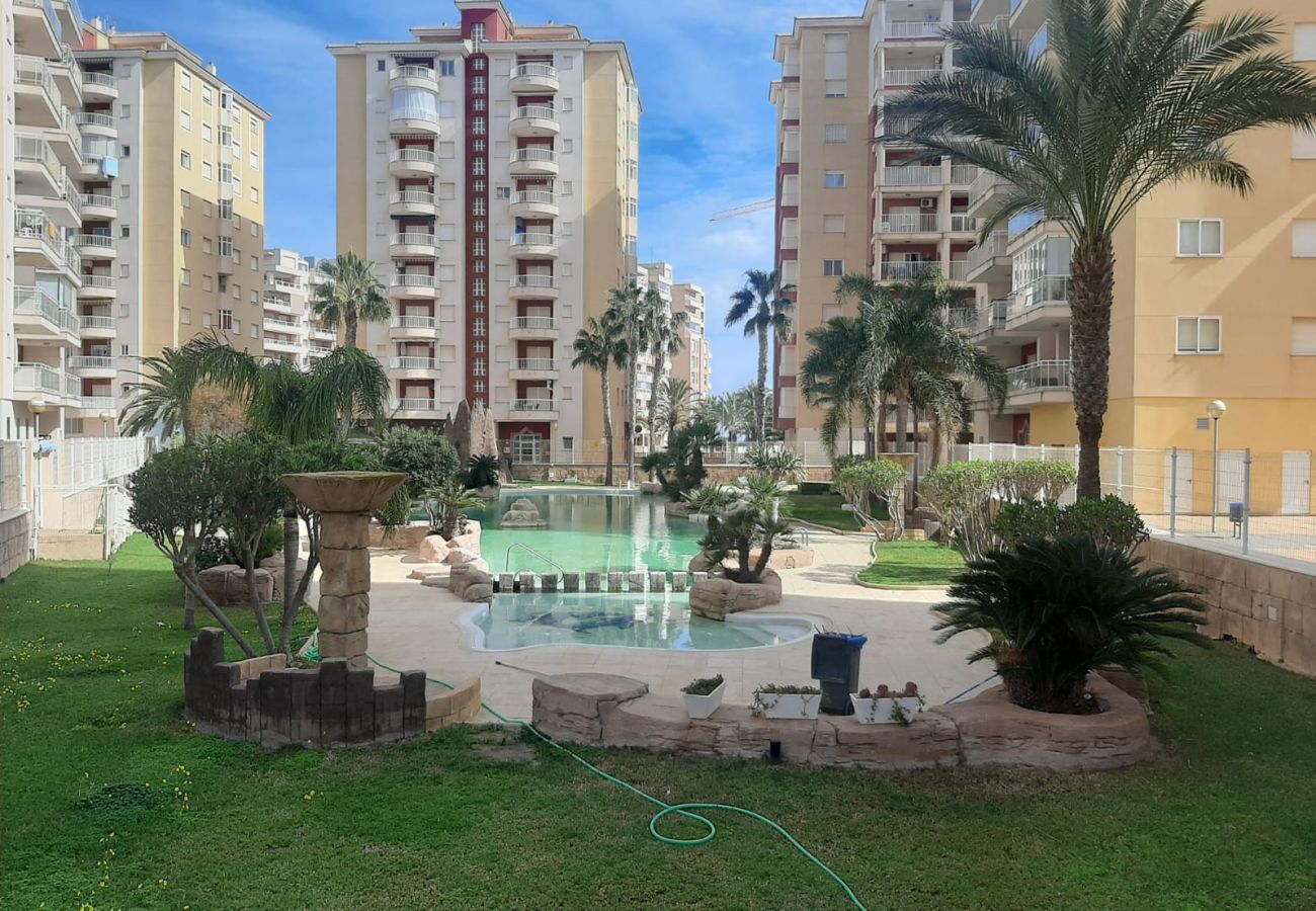 Apartamento en La Manga del Mar Menor - Tintoreto 3ºB Admer