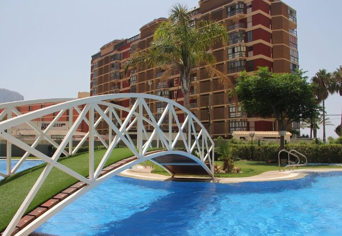 Apartamento en Calpe - Apolo XIV 13.119, Arenal -Bol