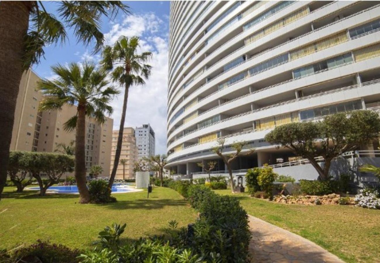 Apartamento en Calpe - Apolo XIV 13.119, Arenal -Bol