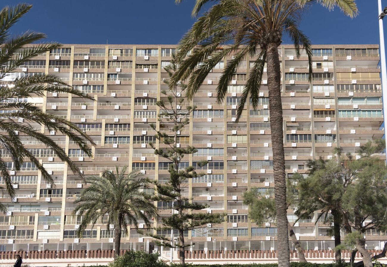 Apartamento en Cullera - ARENSOL ESC-B3, 15º-44