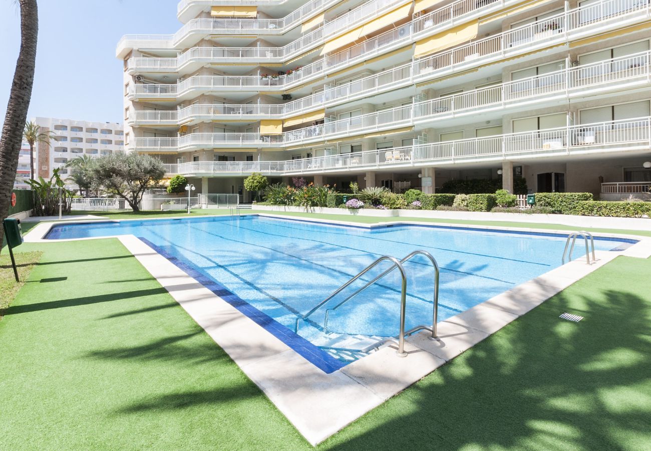 Apartamento en Playa de Gandía - 32. AG AGUAMARINA 4B