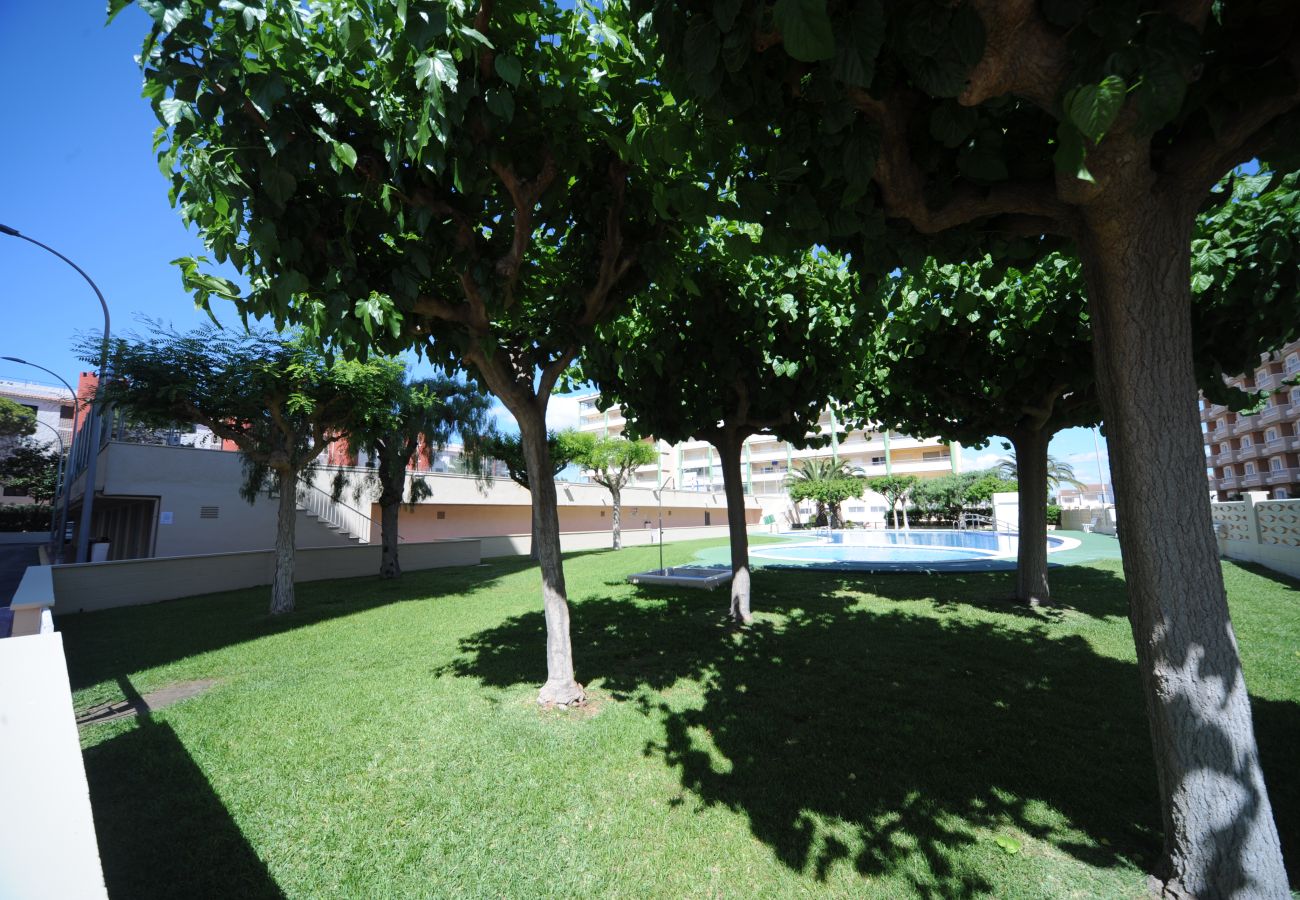 Apartamento en Peñiscola - P. AZAH D409 (122) AIRE A.