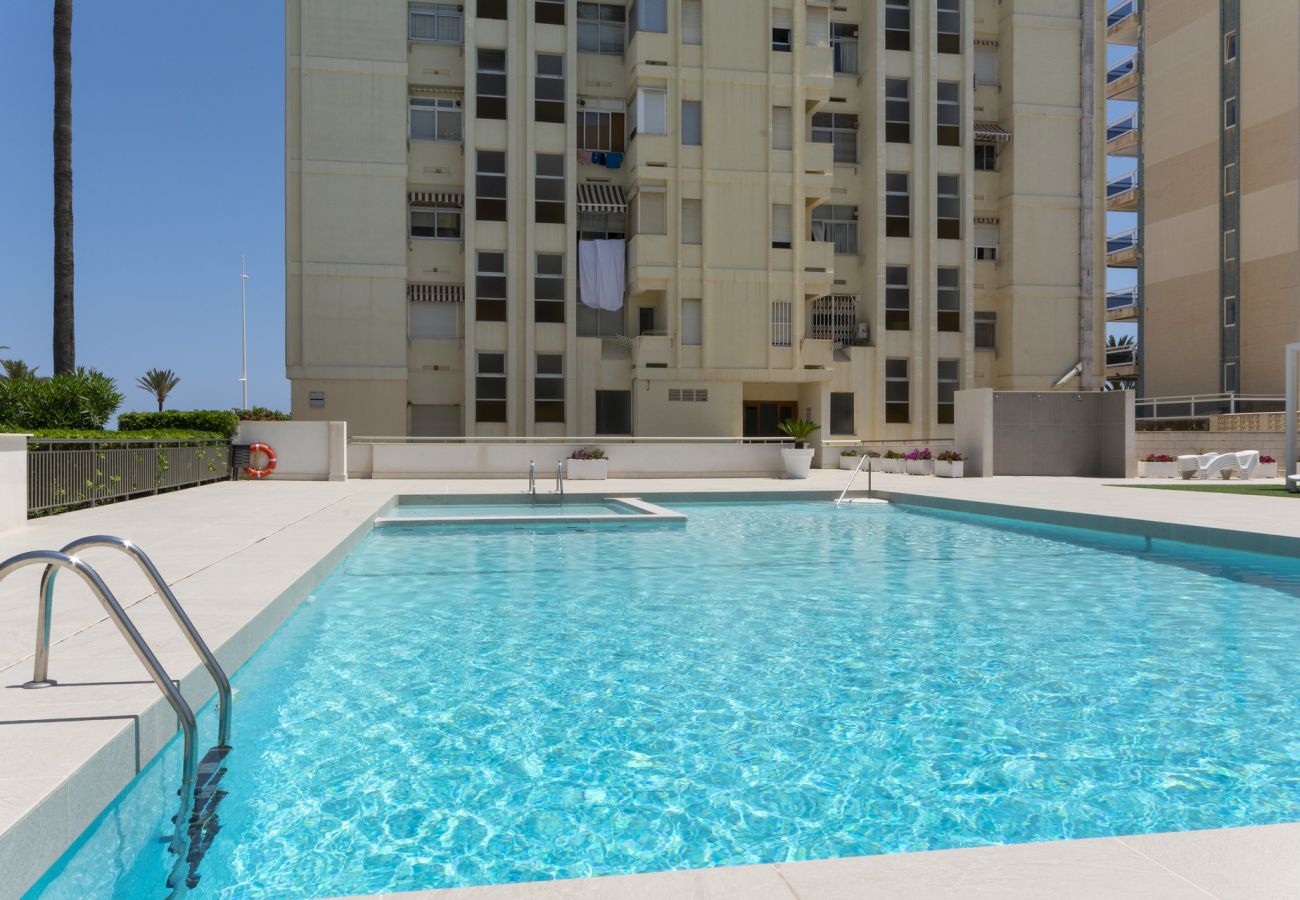 Apartamento en Playa de Gandía - 45. AG. GONDOLA 8