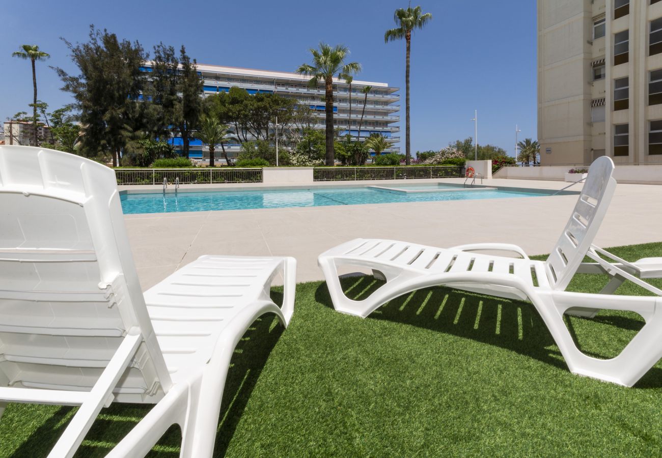 Apartamento en Playa de Gandía - 45. AG. GONDOLA 8