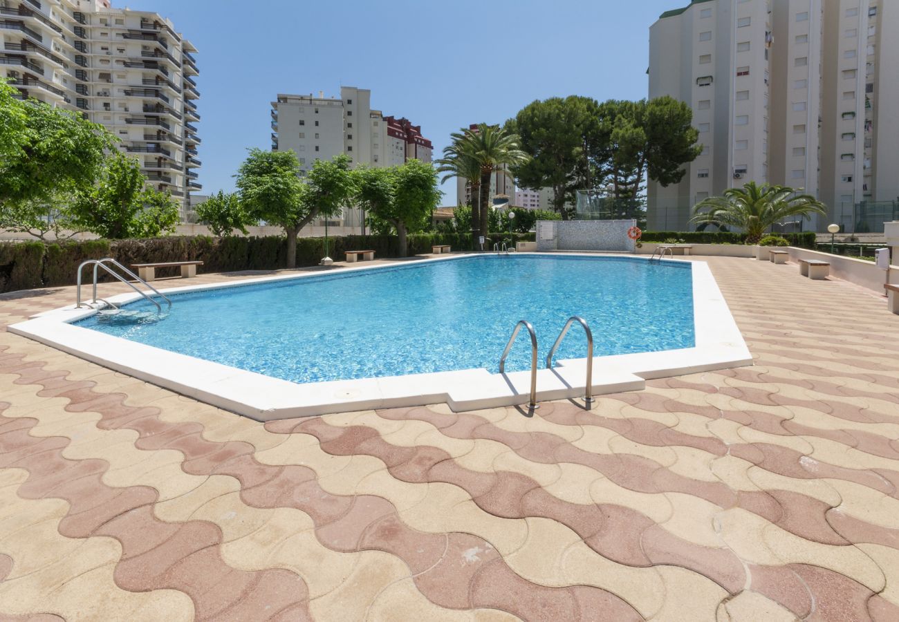 Apartamento en Playa de Gandía - 51. AG PIRAMIDE