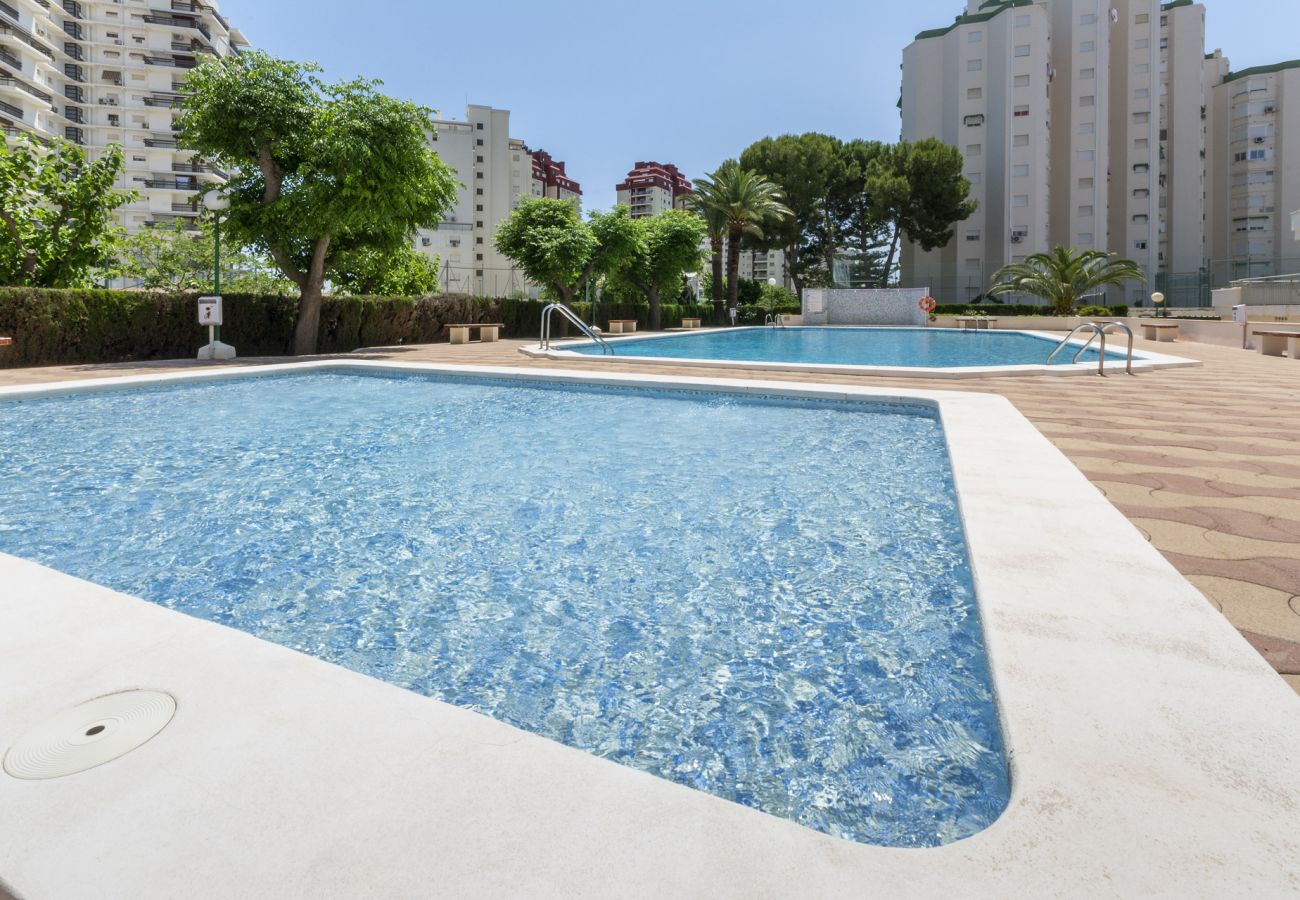 Apartamento en Playa de Gandía - 51. AG PIRAMIDE