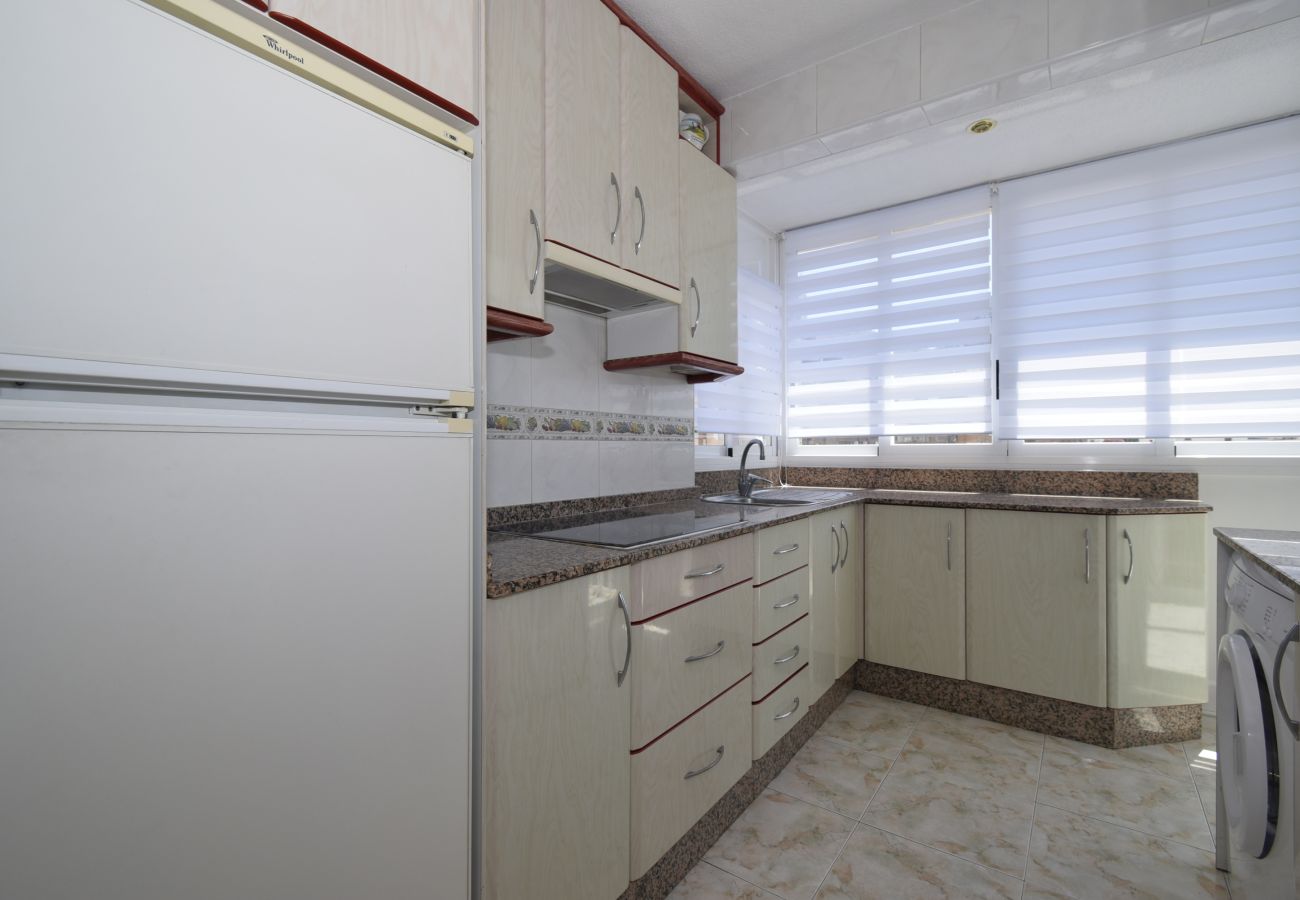 Apartamento en Benidorm - ALBATROS 13-1