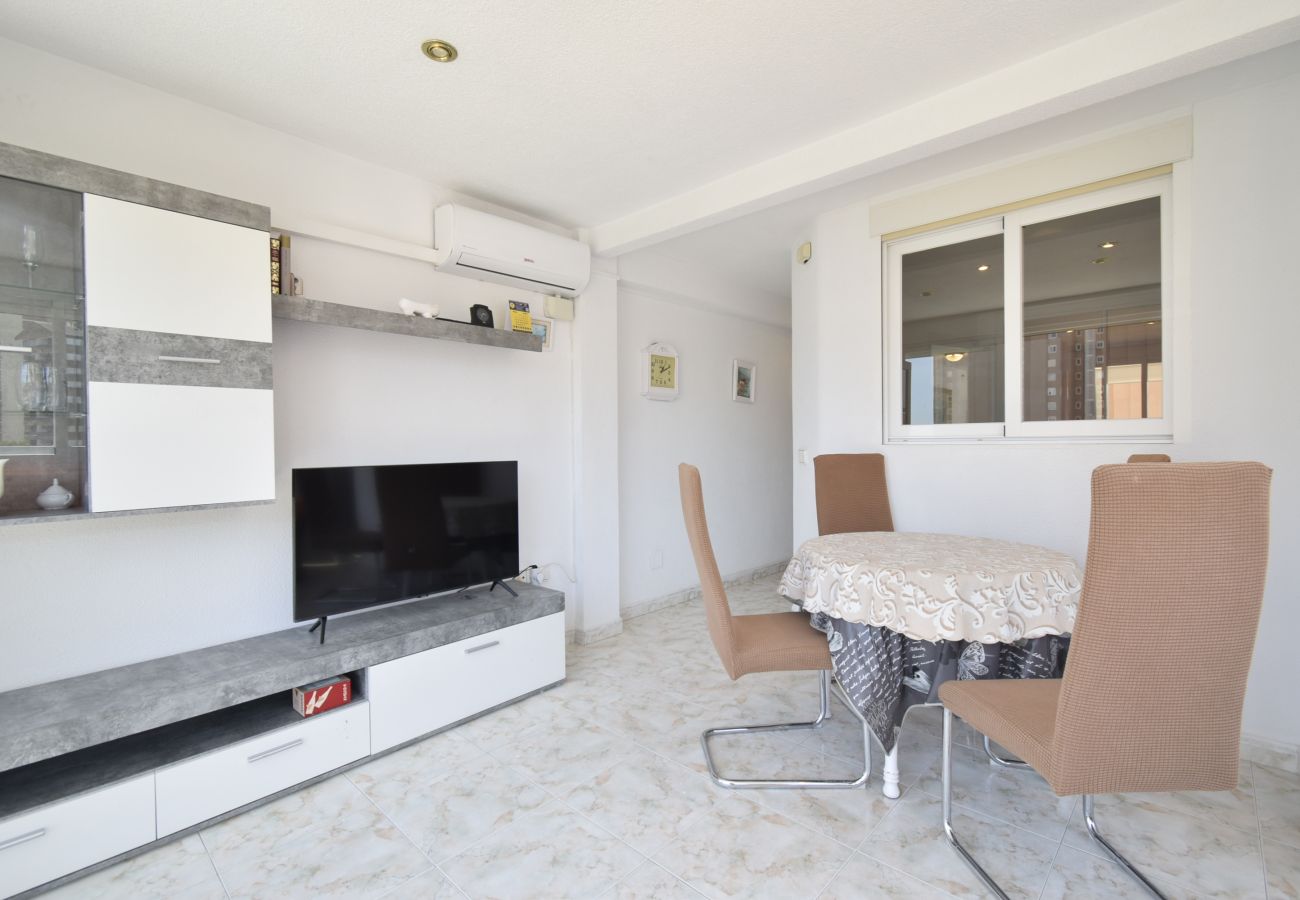 Apartamento en Benidorm - ALBATROS 13-1