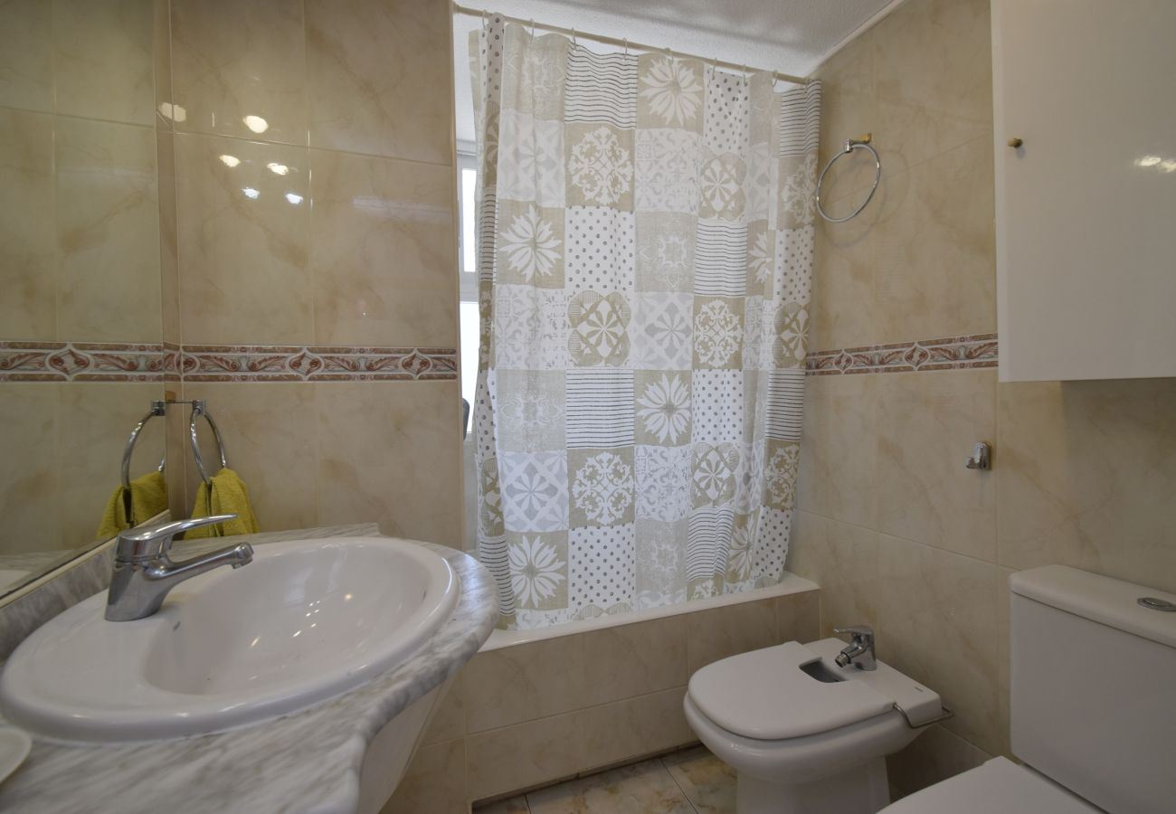 Apartamento en Benidorm - ALBATROS 13-1