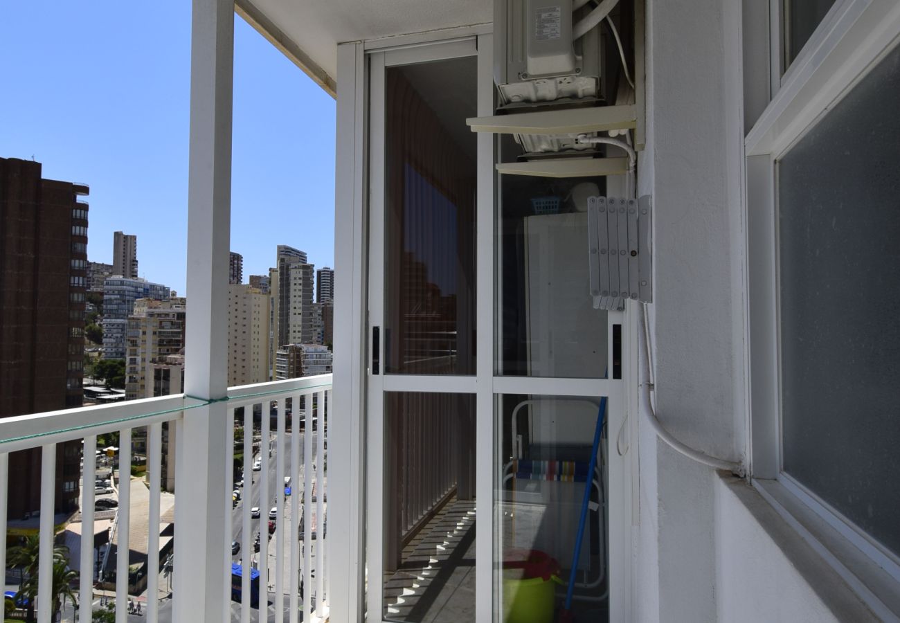 Apartamento en Benidorm - ALBATROS 13-1