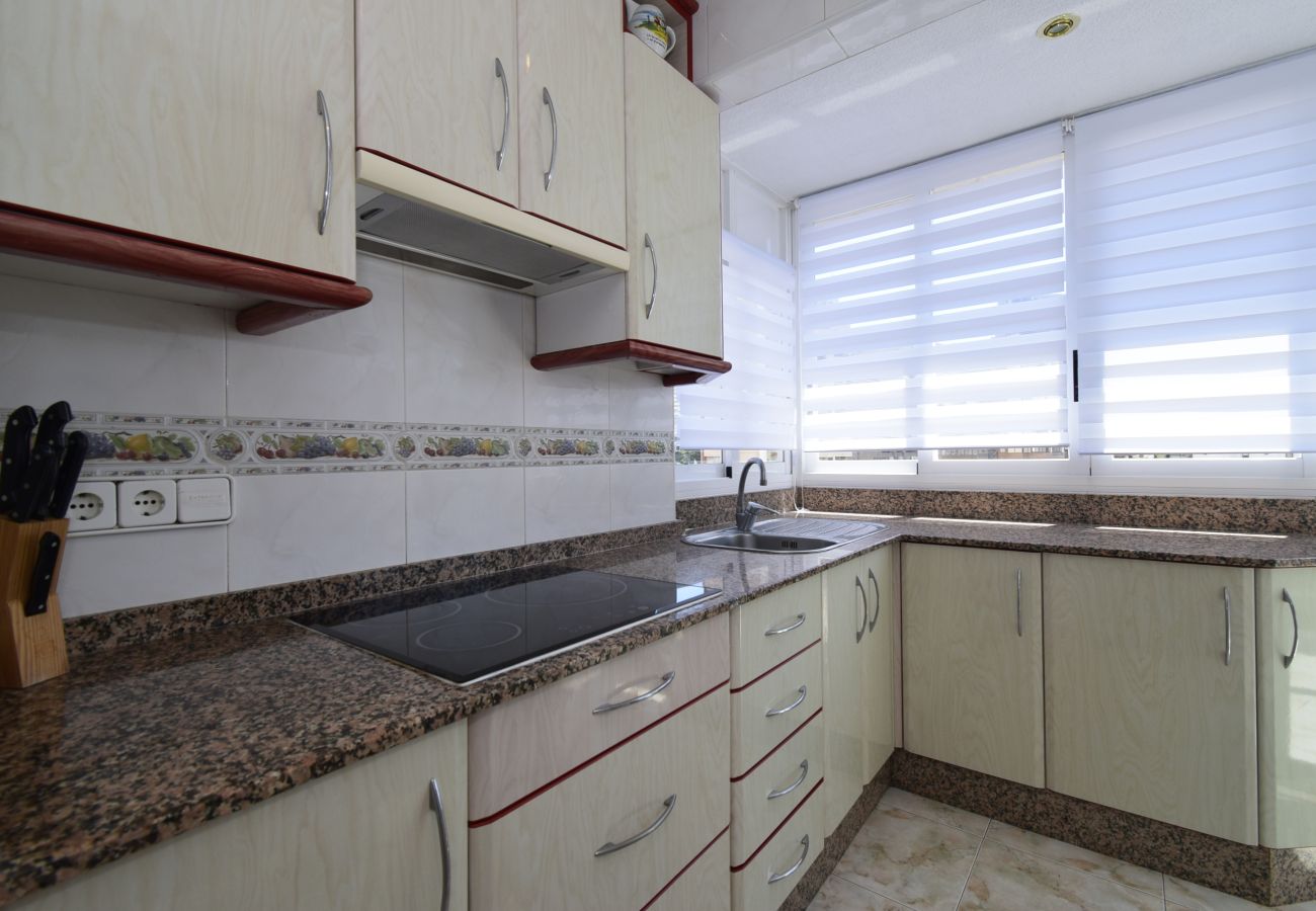 Apartamento en Benidorm - ALBATROS 13-1