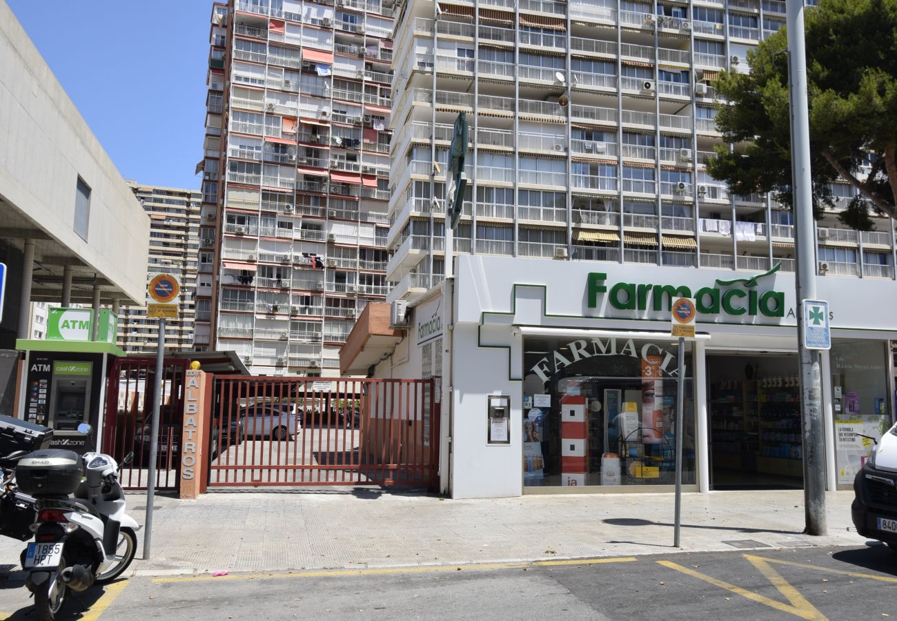 Apartamento en Benidorm - ALBATROS 13-1