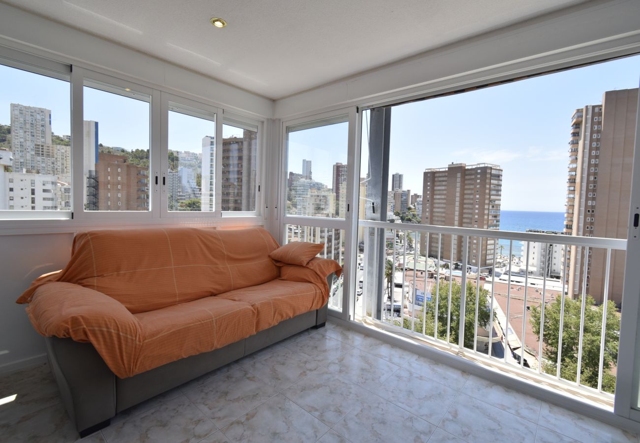 Apartamento en Benidorm - ALBATROS 13-1