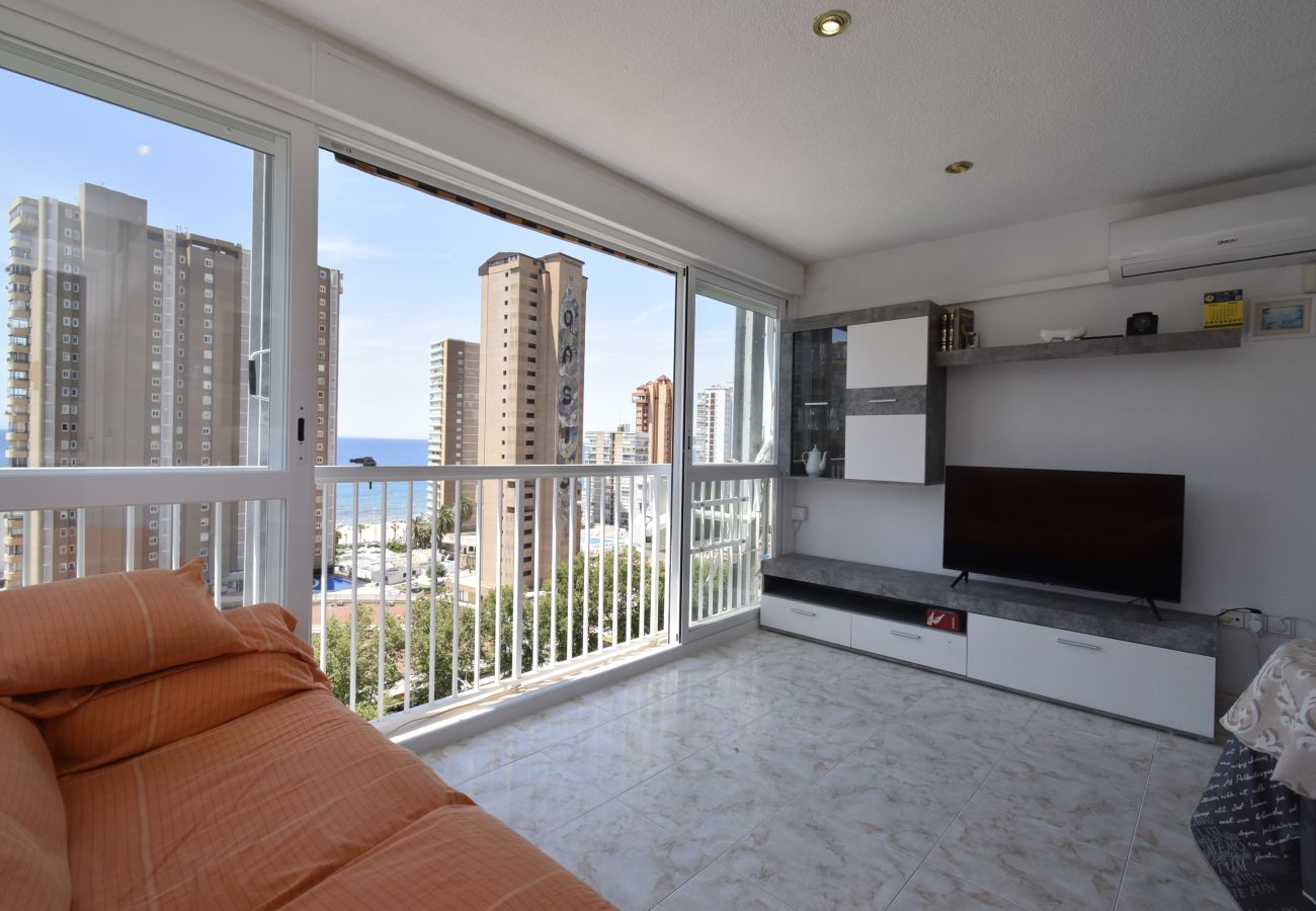 Apartamento en Benidorm - ALBATROS 13-1