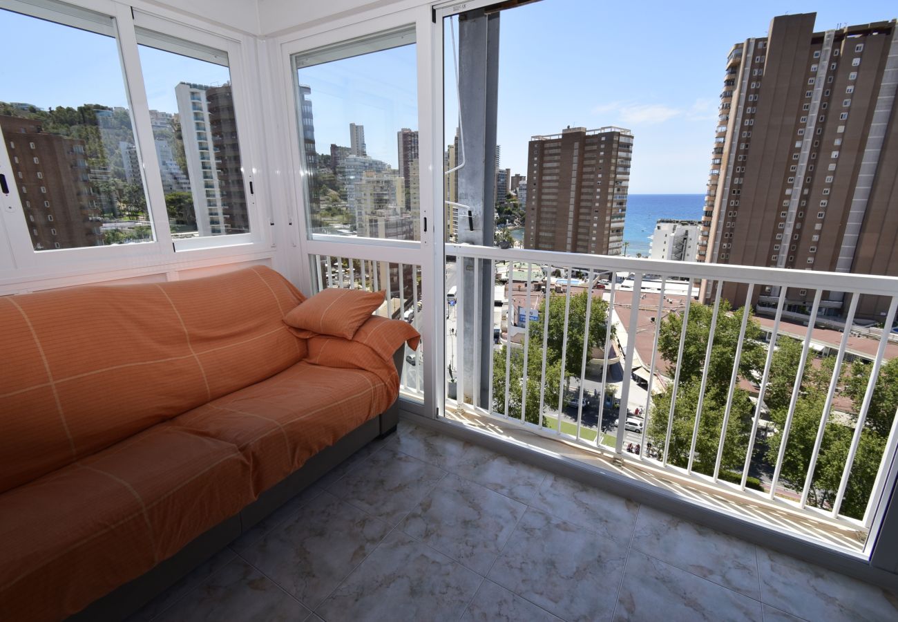 Apartamento en Benidorm - ALBATROS 13-1