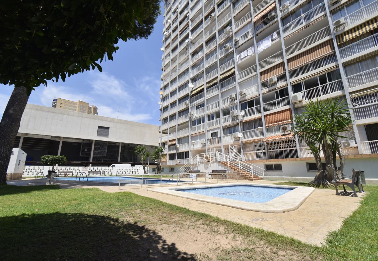 Apartamento en Benidorm - ALBATROS 13-1