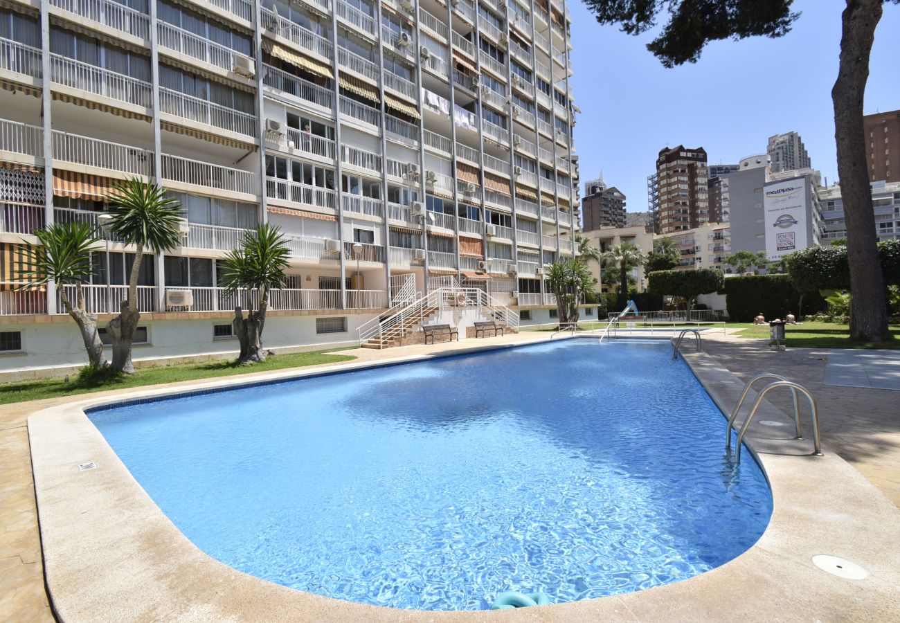 Apartamento en Benidorm - ALBATROS 13-1