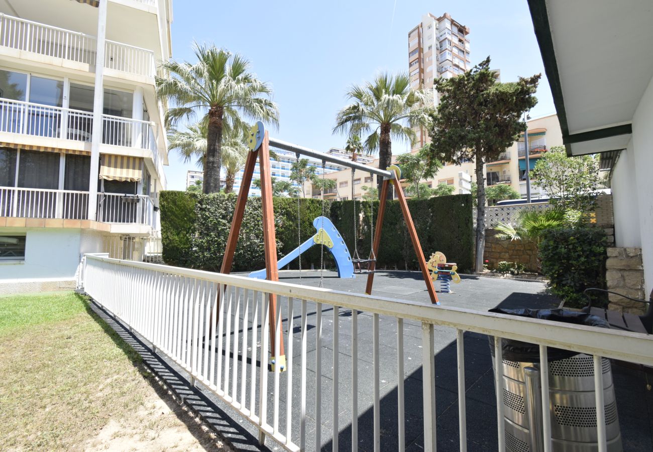 Apartamento en Benidorm - ALBATROS 13-1