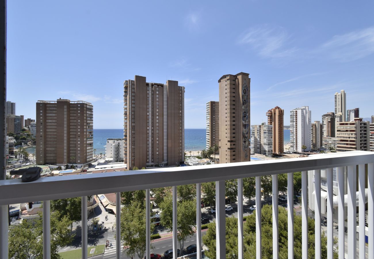 Apartamento en Benidorm - ALBATROS 13-1