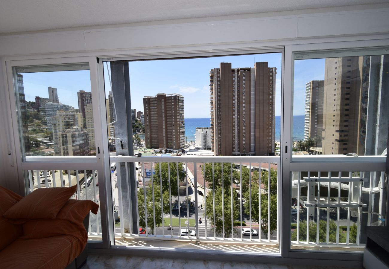 Apartamento en Benidorm - ALBATROS 13-1