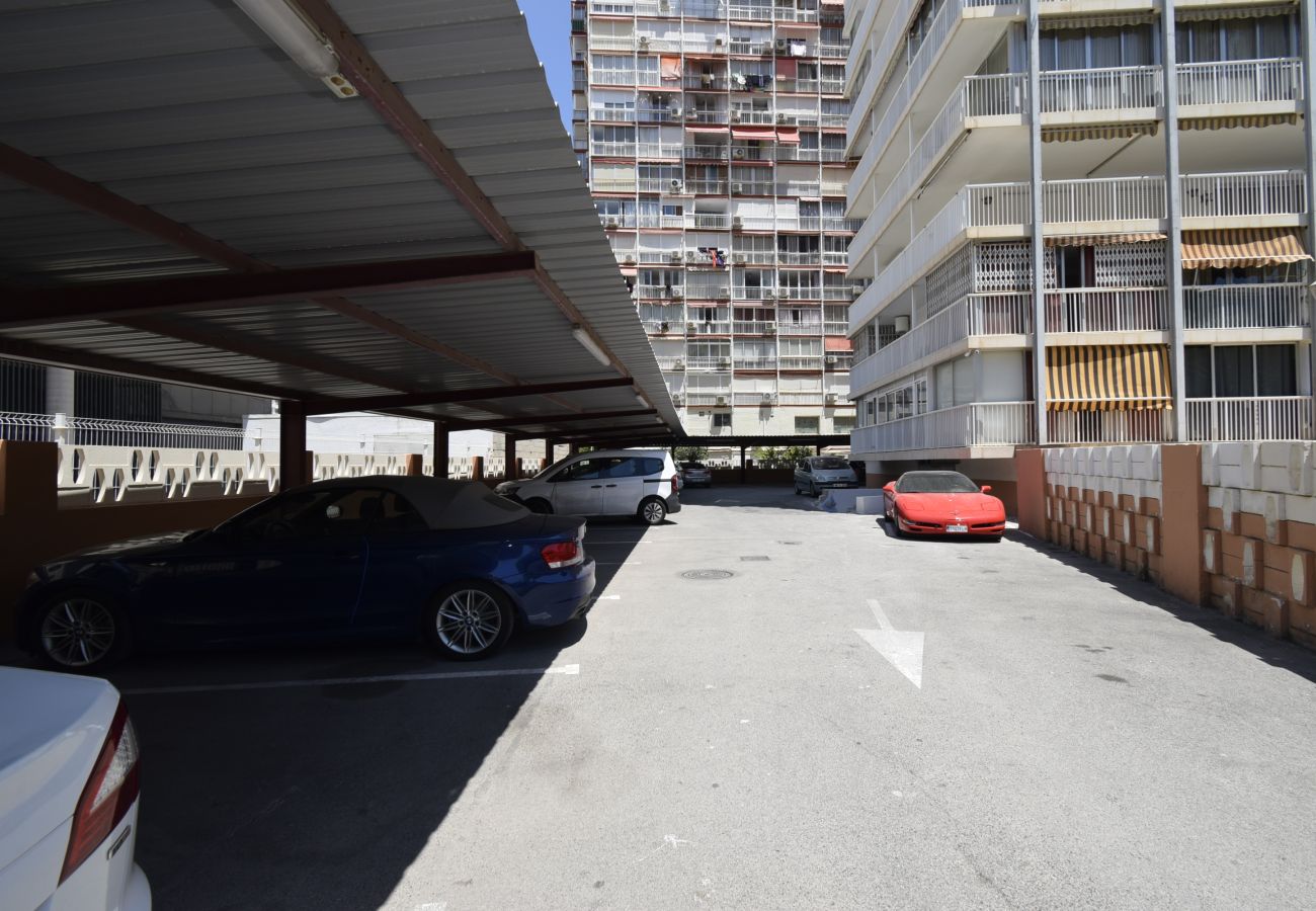 Apartamento en Benidorm - ALBATROS 13-1