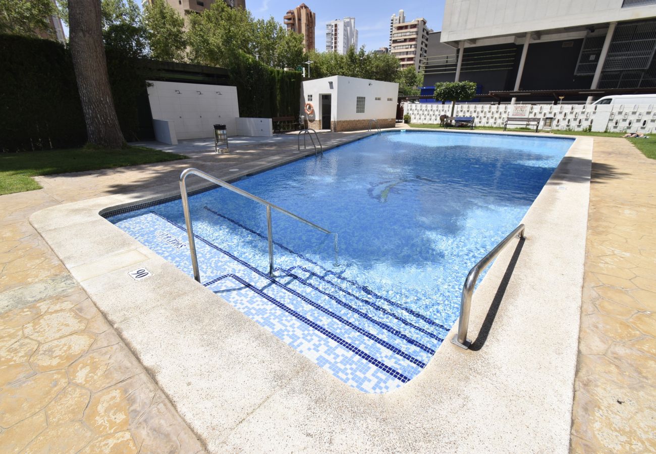 Apartamento en Benidorm - ALBATROS 13-1