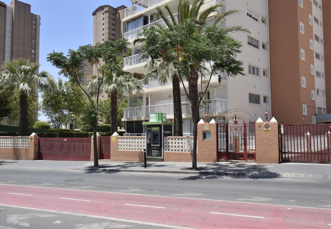 Apartamento en Benidorm - ALBATROS 13-1