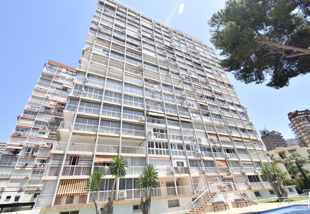 Apartamento en Benidorm - ALBATROS 13-1