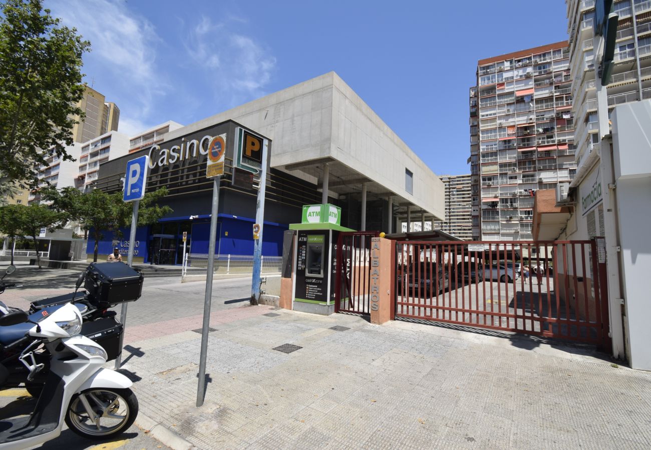 Apartamento en Benidorm - ALBATROS 13-1