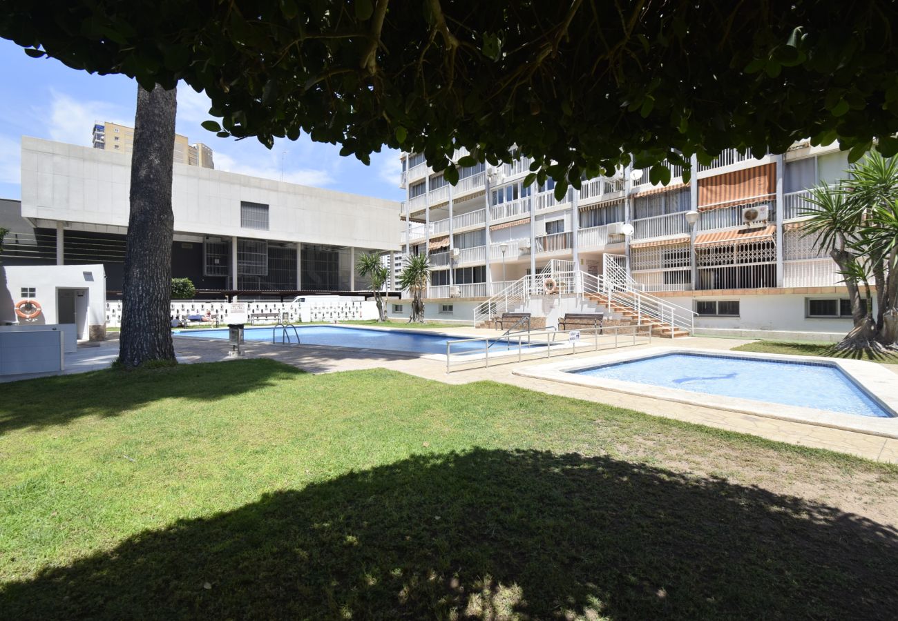 Apartamento en Benidorm - ALBATROS 13-1