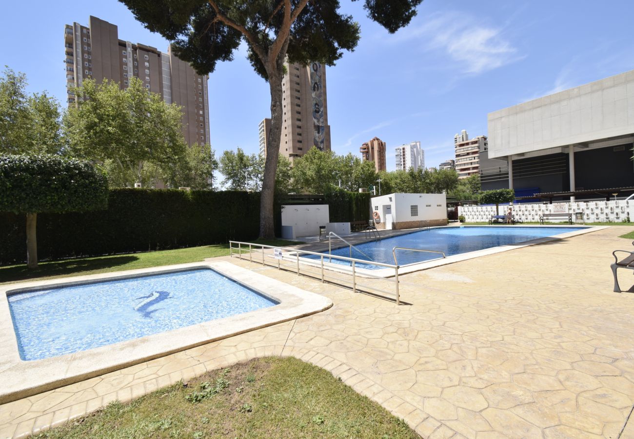 Apartamento en Benidorm - ALBATROS 13-1