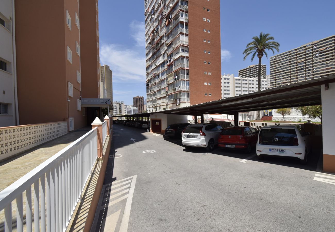 Apartamento en Benidorm - ALBATROS 13-1