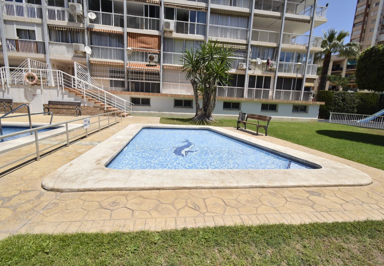 Apartamento en Benidorm - ALBATROS 13-1