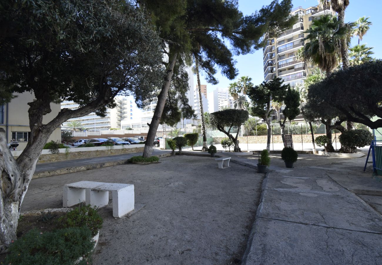 Apartamento en Benidorm - DONA 2  10-5