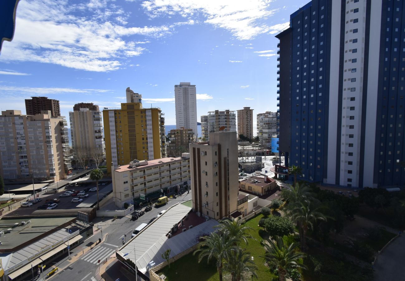 Apartamento en Benidorm - DONA 2  10-5