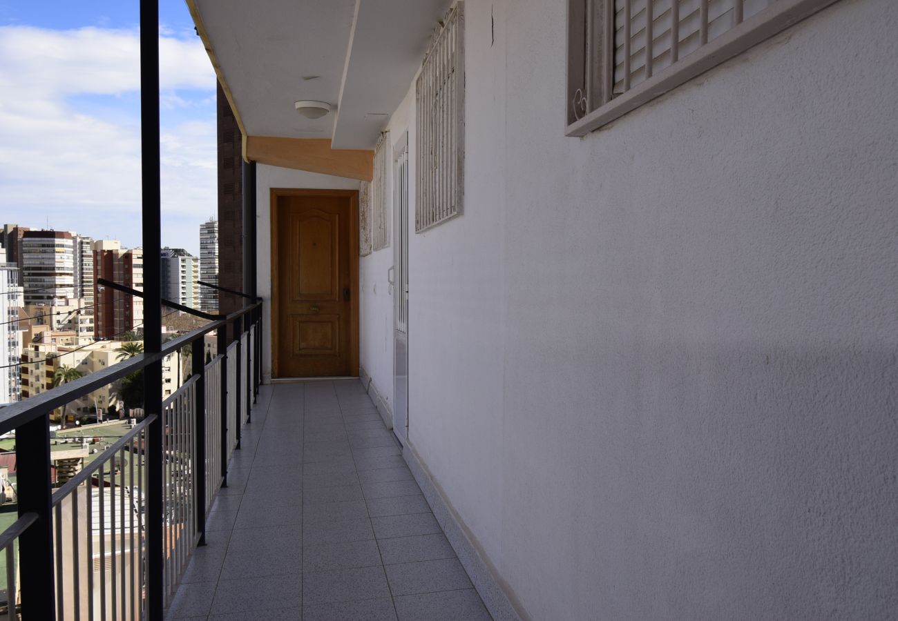 Apartamento en Benidorm - DONA 2  10-5