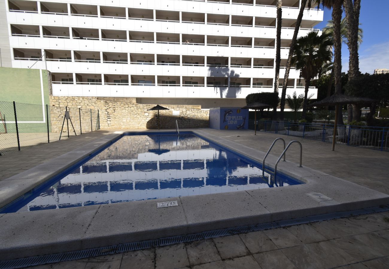 Apartamento en Benidorm - DONA 2  10-5