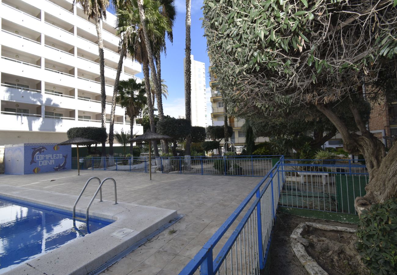 Apartamento en Benidorm - DONA 2  10-5