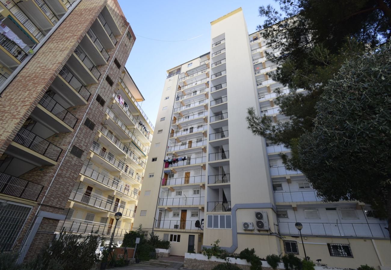 Apartamento en Benidorm - DONA 2  10-5