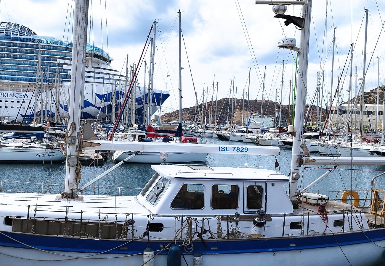 Apartamento en Cartagena - Apartamentos Nuevo Edificio Alba Cartagena Centro 