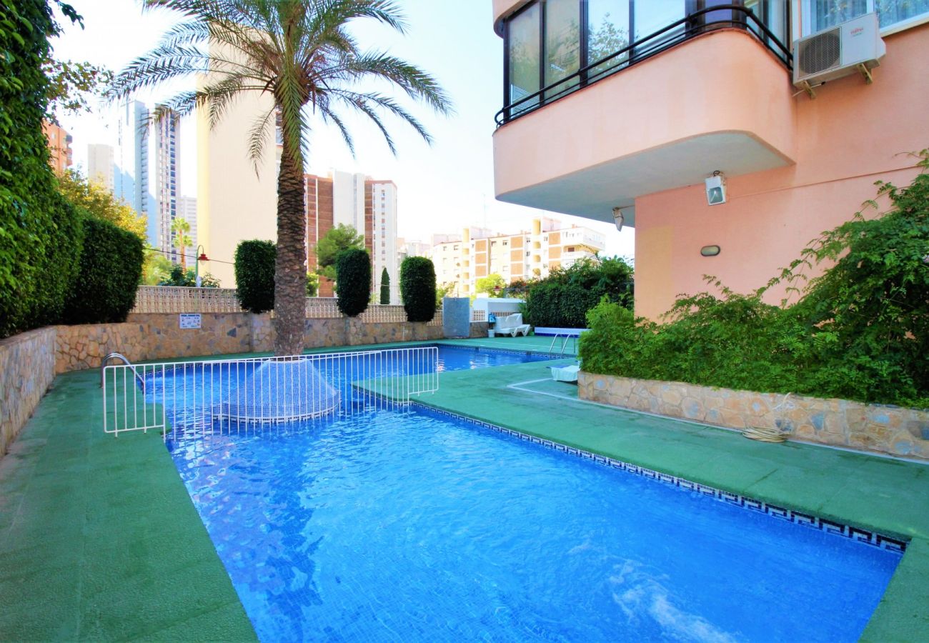 Apartamento en Benidorm - CADIZ 4B