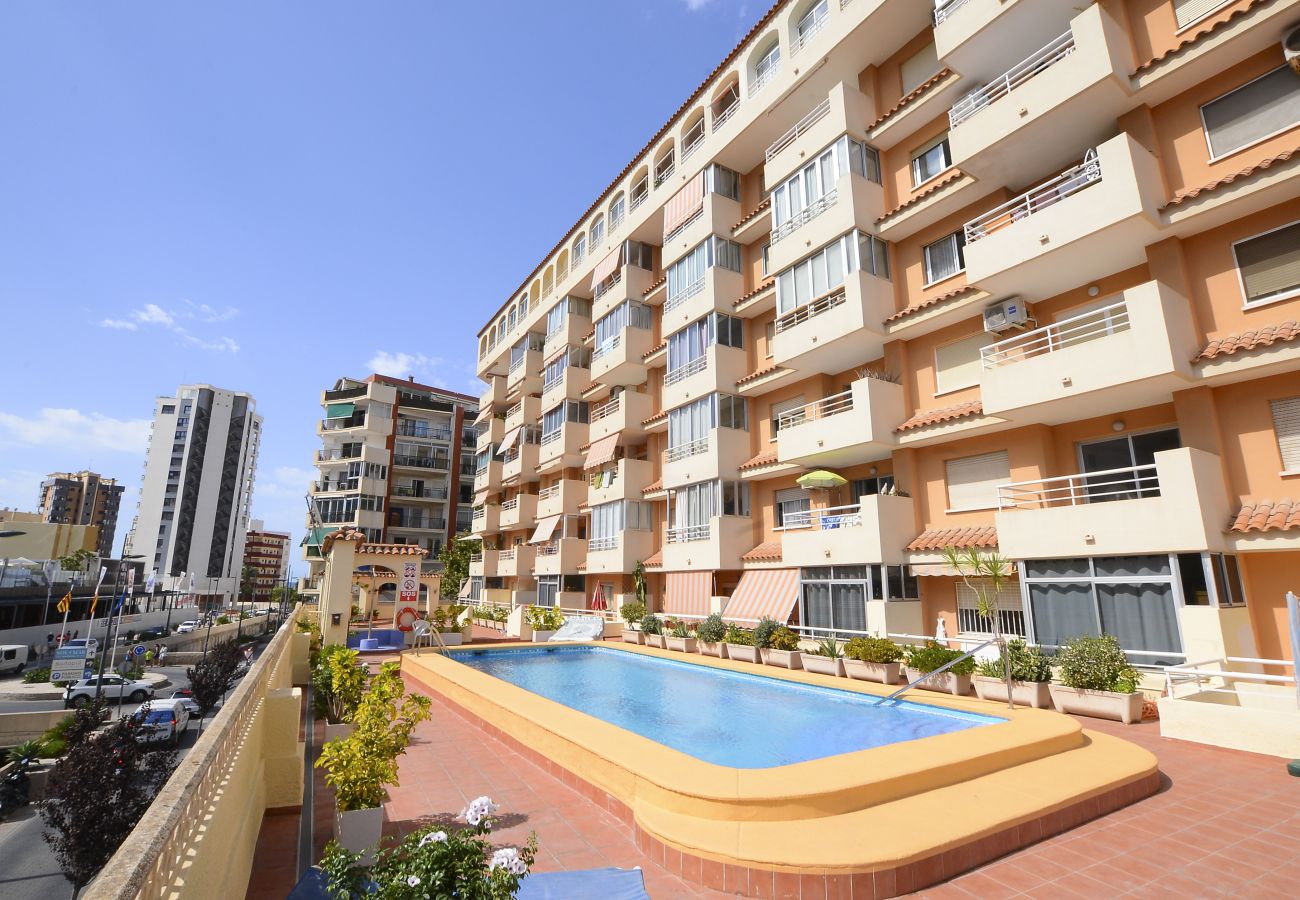 Apartamento en Calpe - A109 APOLO V 1G