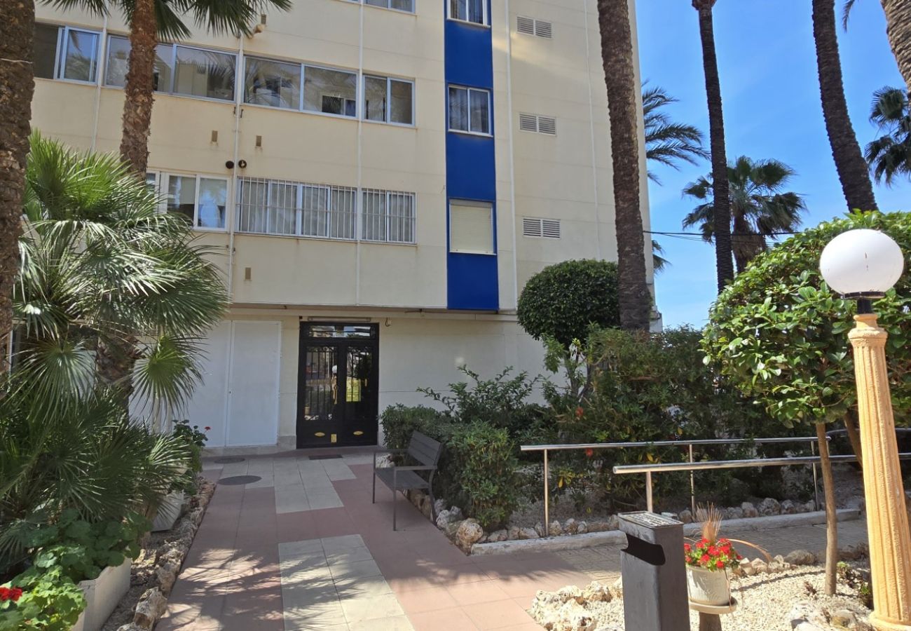 Apartamento en Benidorm - TORRE YAGO 15-1