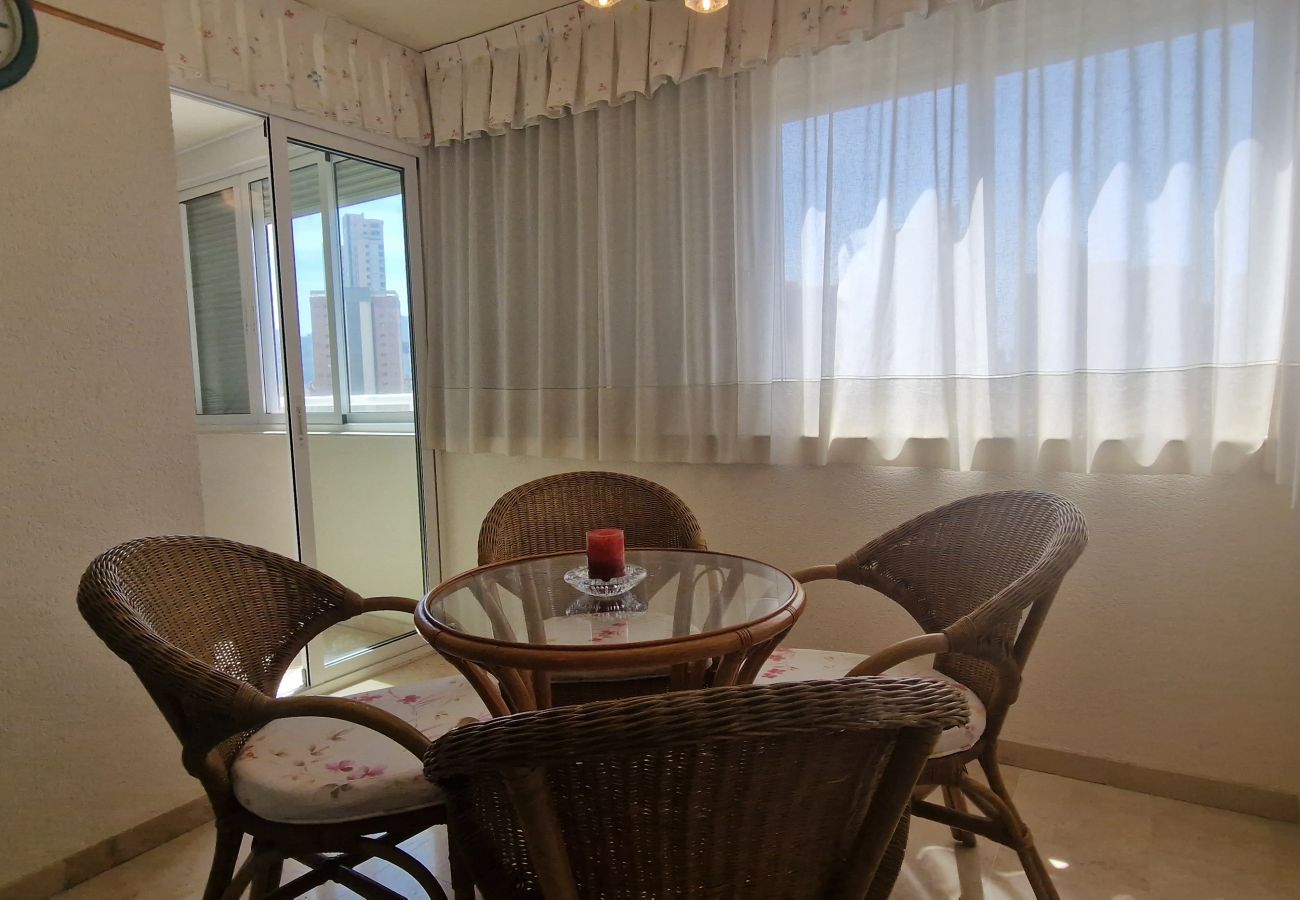 Apartamento en Benidorm - CIBELES 2 5B