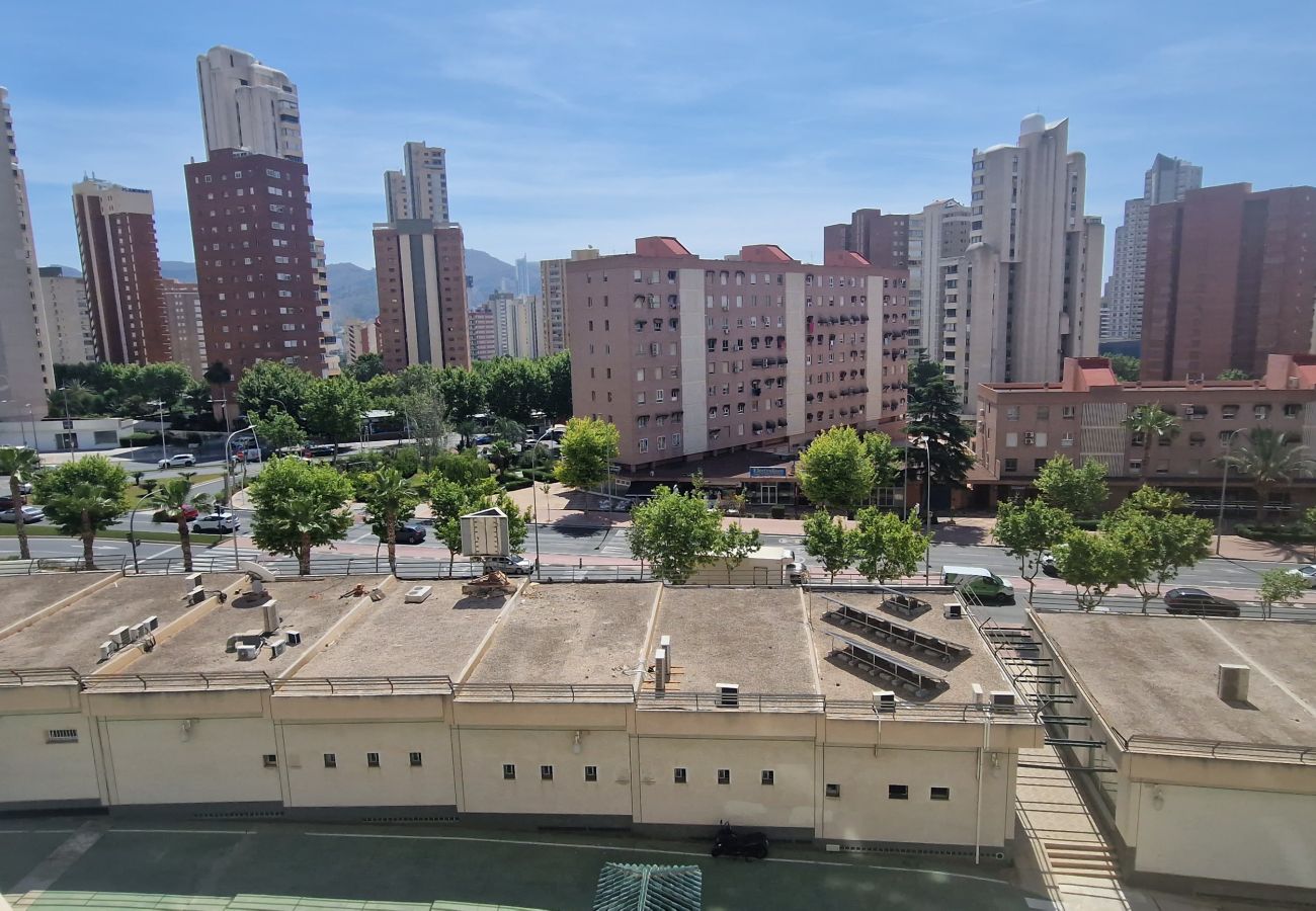 Apartamento en Benidorm - CIBELES 2 5B