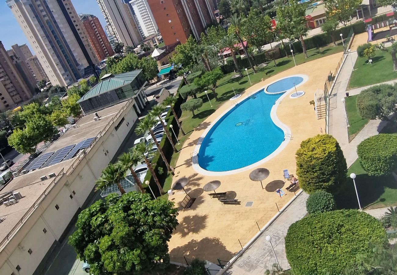 Apartamento en Benidorm - CIBELES 2 5B